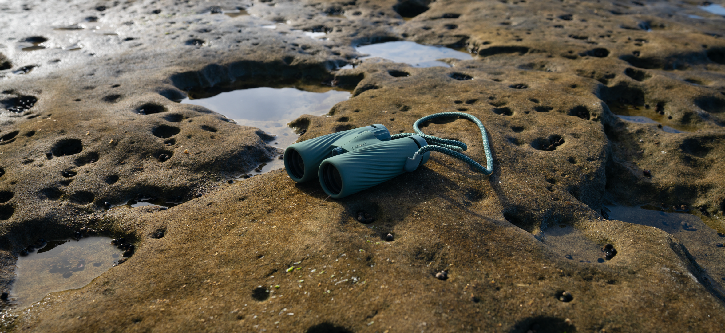 Built to See Through It All