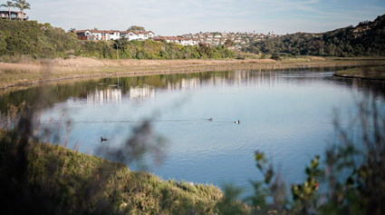 A Week in San Diego: Birds, Community, and What’s Next for Bushnell Outdoors