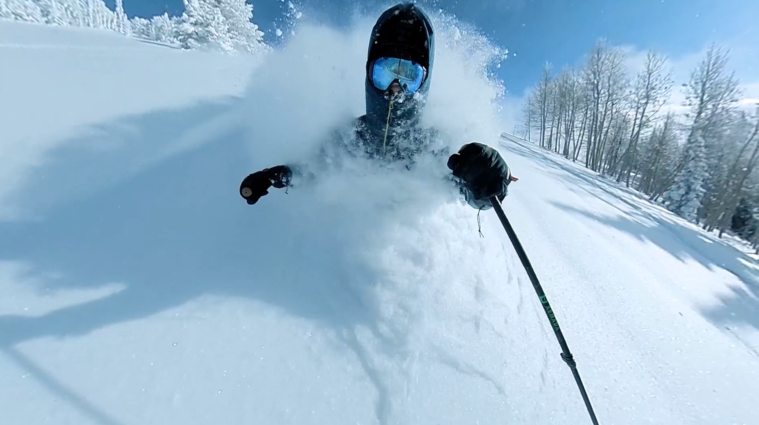 In the Field with Ian Provo