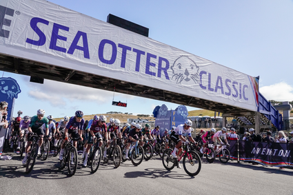 SEA OTTER CLASSIC