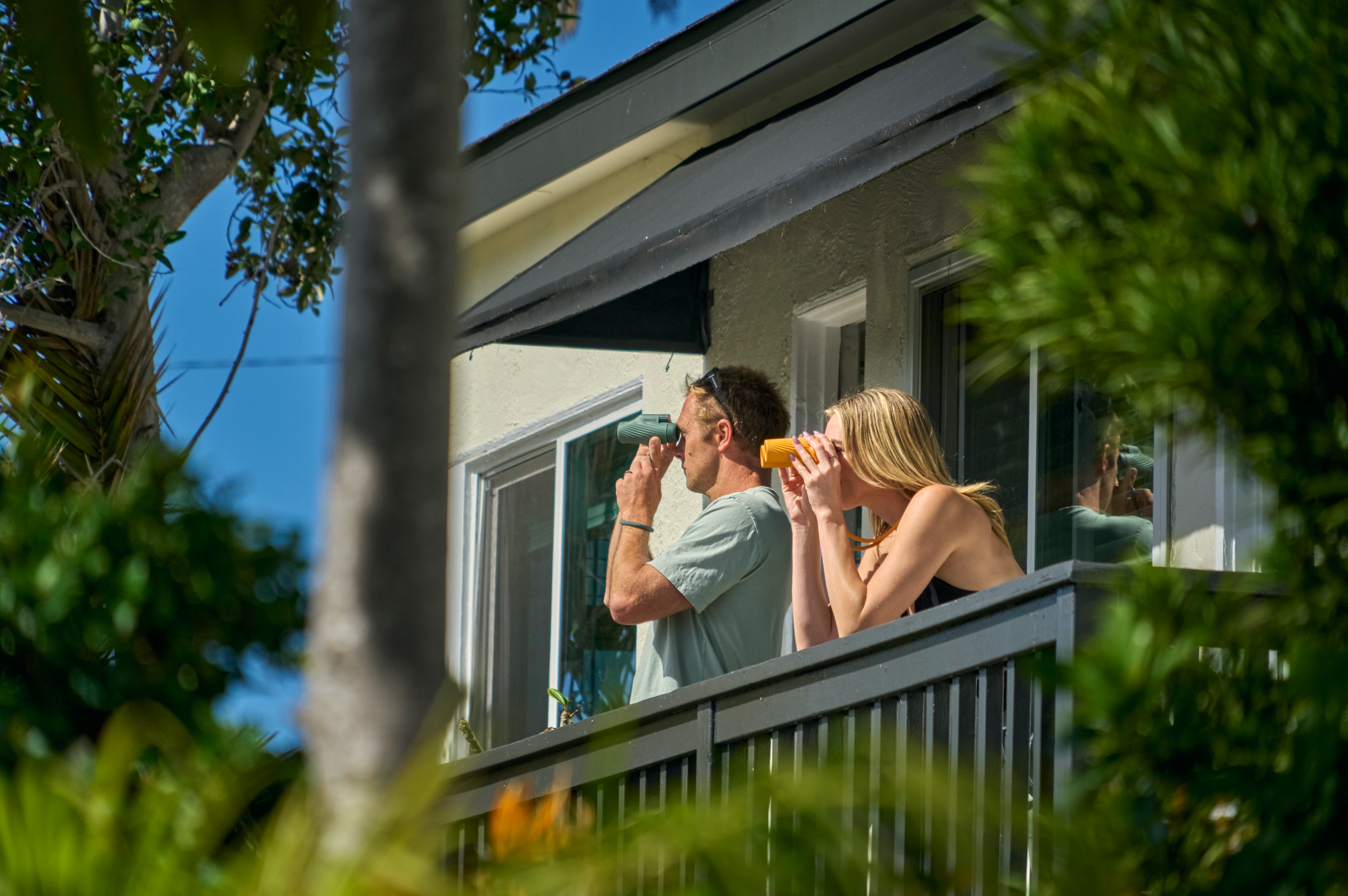 Backyard Birder: Start Where You Are