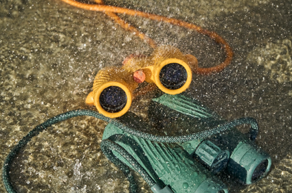 IPX7 Waterproofing: Built for Real Conditions