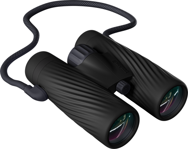 Bushnell A5 full-size binocular in onyx black color with matching detachable neck strap on a transparent background.