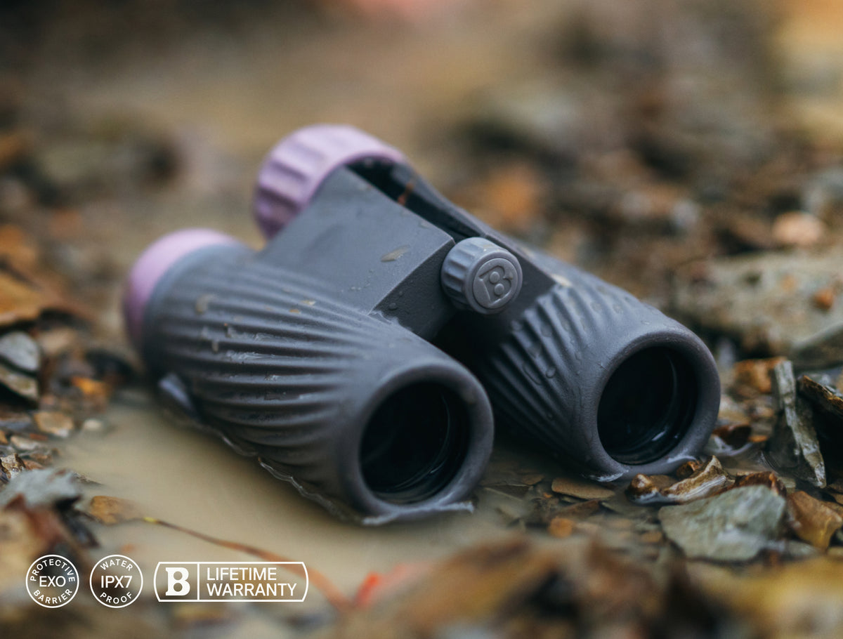 Water, weather & worry-proof