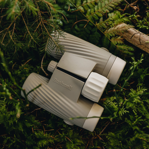 Bushnell A1 Binoculars on a bed of green foliage