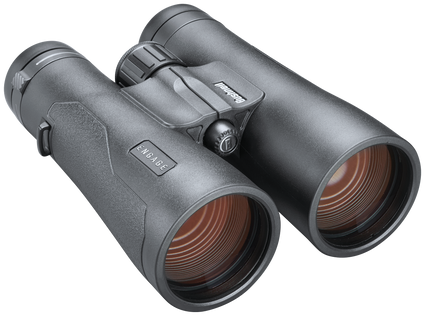 Front view of black Bushnell Engage binoculars on a transparent background
