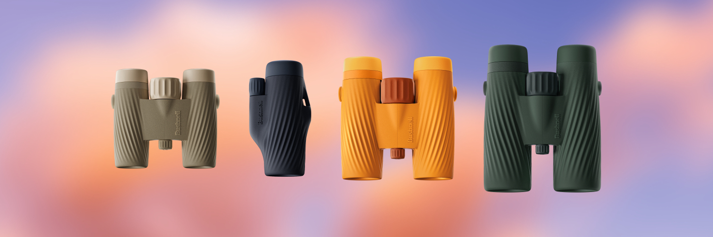 Four pairs of binoculars in different colors on a gradient background